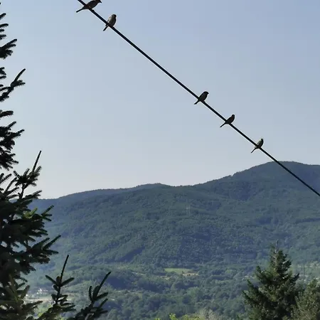 House Official Apartman Ni